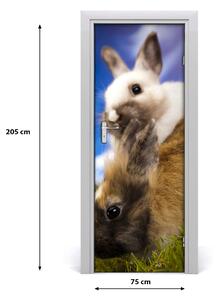 Adesivo per porta Due conigli 75x205 cm