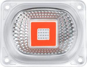20W 30W 50W chip LED impermeabile con lente riflettore spettro completo crescere luce per le piante AC 110V/220V - 20W 220V