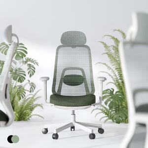 Sedia da ufficio ergonomica FLEXISPOT con meccanismo di bilanciamento dinamico e poggiapiedi, braccioli 3D, supporto lombare adattivo, design sfumato verde