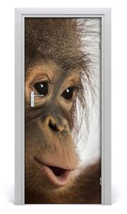 Adesivo per porta interna Giovane orangutan 75x205 cm
