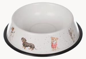 Ciotola per cani Denni