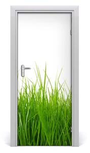 Adesivo per porta interna erba verde 75x205 cm