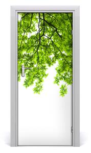 Sticker porta Corona di alberi 75x205 cm