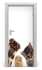 Adesivo per porta Animali domestici 75x205 cm