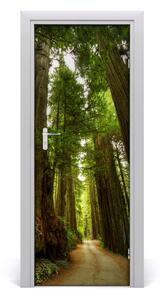 Adesivo per porta Sentiero nella foresta 75x205 cm