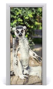Adesivo per porta interna Lemure 75x205 cm