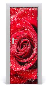 Adesivo per porta rosa rossa 75x205 cm