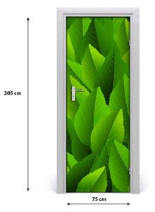 Adesivo per porta interna Foglie verdi 75x205 cm