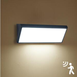 Brilagi - Applique da parete per esterni con sensore TRIANGLE LED/42W/230V nera IP65