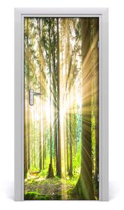 Adesivo per porta Il sole nella foresta 75x205 cm