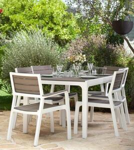 KETER Sedia per Esterni Impilabile in Resina con Braccioli Dimensioni 58x58x86 cm colore Bianco/Cappuccino - Harmony