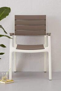 KETER Sedia per Esterni Impilabile in Resina con Braccioli Dimensioni 58x58x86 cm colore Bianco/Cappuccino - Harmony