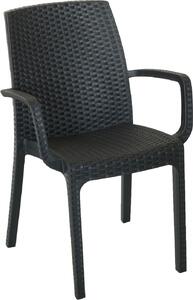 BICA Sedia per Esterni in Resina Dimensioni 57x59x86 cm colore Antracite - Indiana