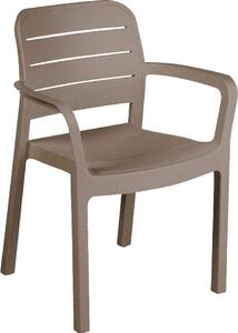 ALLIBERT Sedia per Esterni in Resina Dimensioni 58x53x83 cm colore Cappuccino - Tisara