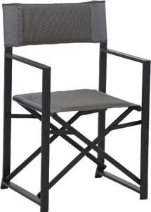 Amicasa Sedia per Esterni Pieghevole Sedia Regista in Metallo Dimensioni 55x45x88 cm colore Champagne - Karl