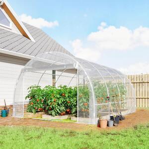 VivaGarden Serra a Tunnel 3x4x2 m con Porte Avvolgibili Telaio in Acciaio e Copertura in PE Anti-UV colore Trasparente