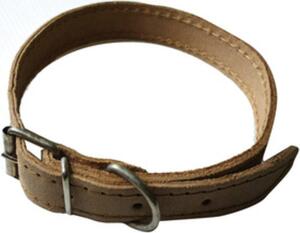 AllMyPets Set 6 Collari per Cani Sfoderato 51 cm