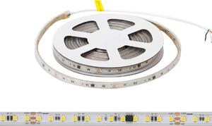 Striscia LED Digitale 24V 12W/m RUNNING Professionale IP65 - 5 metri