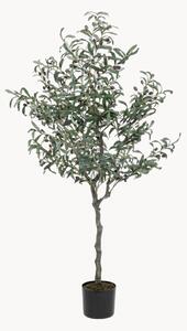 Pianta artificiale Olive