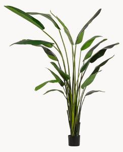 Pianta artificiale Strelitzia