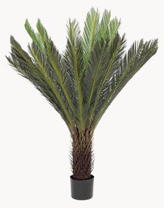 Pianta artificiale Cycas