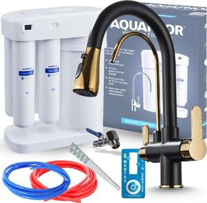 Rubinetto da cucina a 3 vie Ari Nordic con doccetta estraibile, doppia bocca per acqua filtrata, nero e oro, ottone