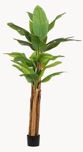 Pianta artificiale Banana