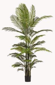 Pianta artificiale Kenzia