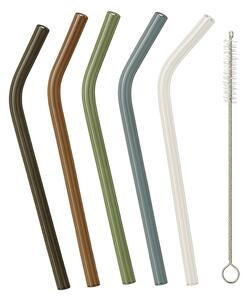 Trebonn SplitGlass Glass Straws Set 5 Cannucce Colorate Vetro Borosilicato 17 cm Spazzolino per la Pulizia