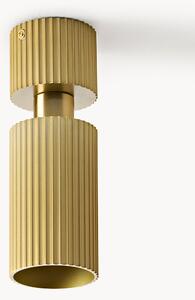 Faretti da soffitto Chester