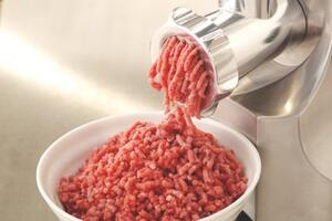 Kenwood Tritacarne potenza 1600 W Mg 510