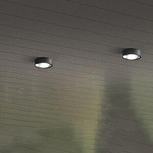 Plafoniera Da Esterno Moderno Fanale Metallo Grigio Grafite Vetro Led 6W 3000K