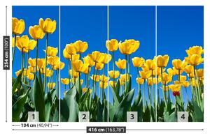 Carta da parati Tulips Flowers 104x70 cm
