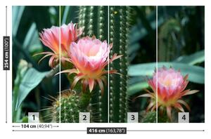 Carta da parati Cactus di fiori 104x70 cm
