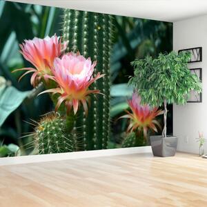 Carta da parati Cactus di fiori 104x70 cm