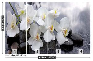 Carta da parati Pietre di orchidee 104x70 cm
