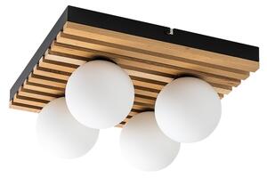 Rabalux 71462 - Plafoniera NOXELLE 4xG9/5W/230V 29,6x29,6 cm
