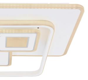 Globo 48441-50 - Plafoniera LED dimmerabile RODERICK LED/50W/230V + tc