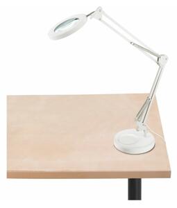 Extol - Lampada da tavolo LED dimmerabile con una lente d'ingrandimento LED/8W/5V 2900/4500/7500K bianco