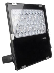 Proiettore LED 50W RGB+CCT IP66 Angolo 25°, Dimmerabile - 2.4GHz Colore RGB+CCT