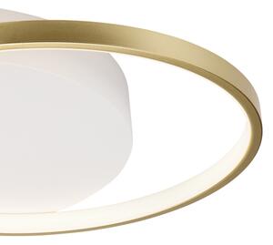 Plafoniera dimmerabile BENITO LED/31W/230V 3000-6500K bianco/oro