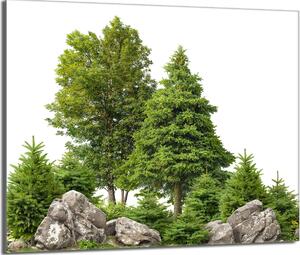Piastra di copertura del piano cottura 60x52 Piastra di copertura del piano cottura in Vetroceramica, tagliere decorativo, verde foresta
