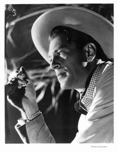 Fotografia Gary Cooper, Archive Photos