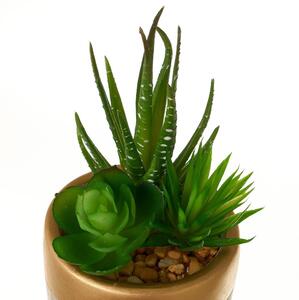 Piante artificiali in set da 4 (altezza 17 cm) Cactus - Casa Selección