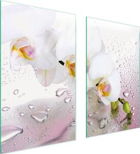 Piastre copri fornelli 2 pezzi 75x52 Copri piano cottura in Vetroceramica tagliere in vetro Orchid White