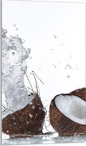 Piastra copri piano cottura 30x52 Piastra copri piano cottura in Vetroceramica alzatina in vetro tagliere decorativo, acqua di cocco