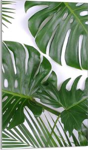 Piastra copri fornelli 30x52 Piastra copri piano cottura in Vetroceramica alzatina in vetro tagliere decorativo, fogliame Monstera