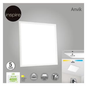 Pannello LED Anvik 1.35x59.5 cm Ø 59.5 cm, bianco naturale, 4000LM INSPIRE