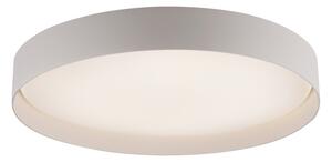 Schöner Wohnen 14595-39 - Plafoniera LED dimmerabile TAVOLI LED/34W/230V grigio +telecomando