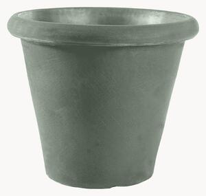 Portavaso Camelia